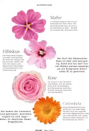 Dm drogerie Magazin Seite 15