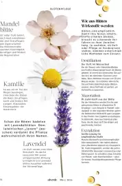 Dm drogerie Magazin Seite 16