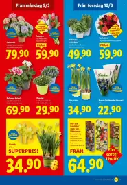 Lidl reklamblad vecka 11 Sida 19
