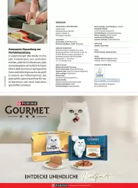 PENNY Flugblatt Seite 53