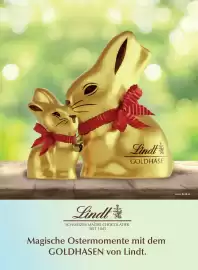 PENNY Flugblatt Seite 64