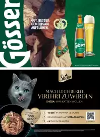 PENNY Flugblatt Seite 67