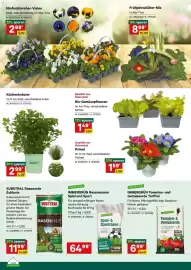 Lagerhaus Flugblatt Seite 2