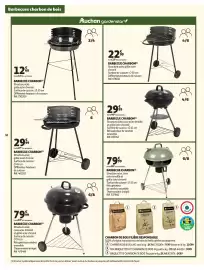 Catalogue Auchan | Jardinage page 16
