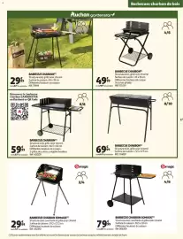 Catalogue Auchan | Jardinage page 17