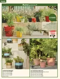 Catalogue Auchan | Jardinage page 24