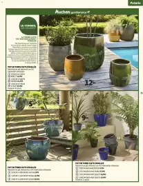 Catalogue Auchan | Jardinage page 25
