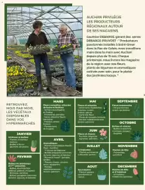 Catalogue Auchan | Jardinage page 3