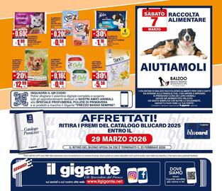 Volantino Il Gigante Pagina 44