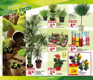 Volantino Il Gigante Pagina 30