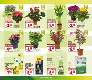 Volantino Il Gigante Pagina 31