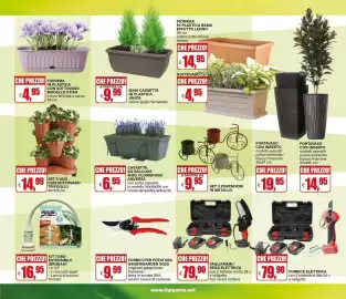 Volantino Il Gigante Pagina 33