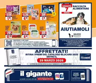 Volantino Il Gigante Pagina 44