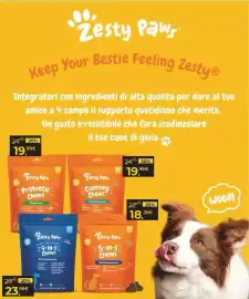 Volantino Arcaplanet Pagina 29