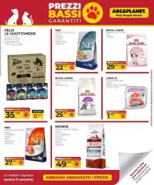 Volantino Arcaplanet Pagina 3