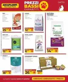 Volantino Arcaplanet Pagina 4