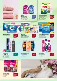 Dornseifer Prospekt woche 10 Seite 14