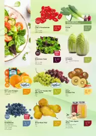 Dornseifer Prospekt woche 10 Seite 8