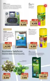 ZOO & Co Flugblatt woche 10 Seite 11