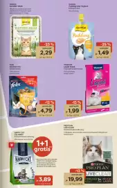 ZOO & Co Flugblatt woche 10 Seite 3