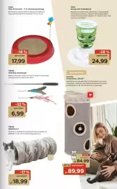 ZOO & Co Flugblatt woche 10 Seite 5