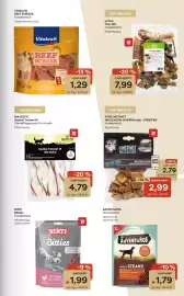 ZOO & Co Flugblatt woche 10 Seite 7