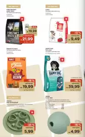 ZOO & Co Flugblatt woche 10 Seite 8