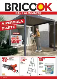 Volantino Brico OK Pagina 1