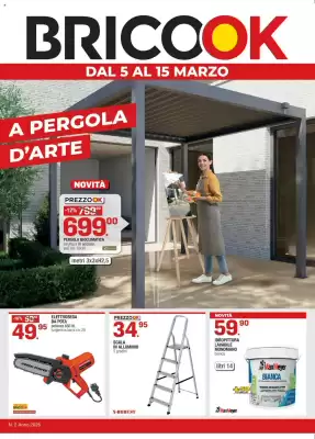 Volantino Brico OK (valido fino al 15-03)