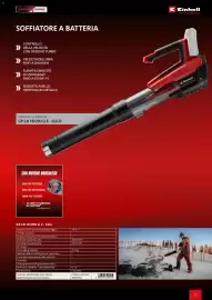 Volantino Einhell Pagina 35