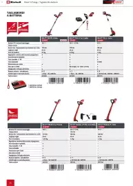 Volantino Einhell Pagina 48