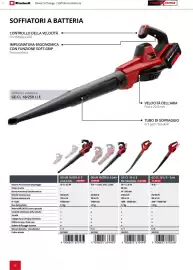 Volantino Einhell Pagina 58