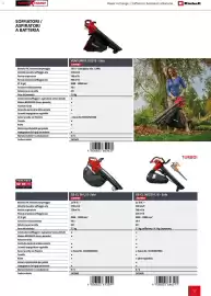 Volantino Einhell Pagina 59