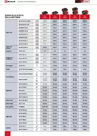 Volantino Einhell Pagina 70