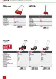 Volantino Einhell Pagina 76