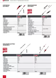 Volantino Einhell Pagina 80