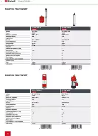 Volantino Einhell Pagina 90