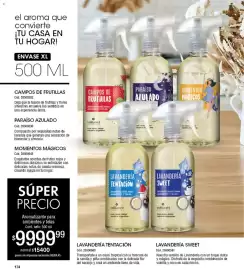 Catálogo Millanel Cosmética Página 174