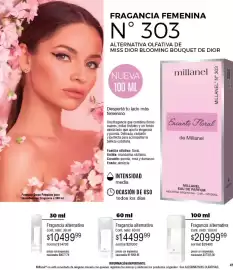 Catálogo Millanel Cosmética Página 41
