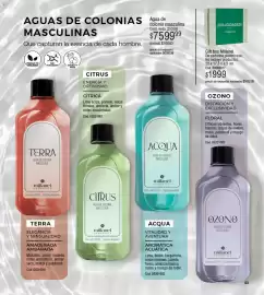 Catálogo Millanel Cosmética Página 63