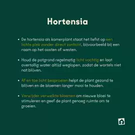 Eurotuin folder week 10 Pagina 2