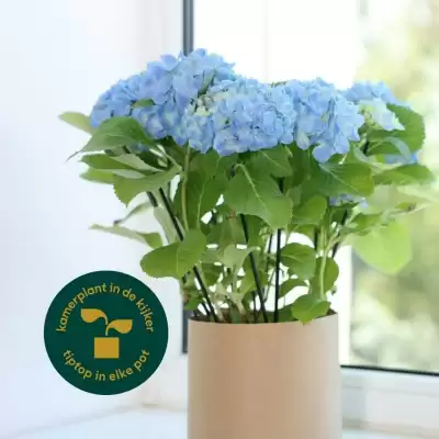 Eurotuin folder (geldig t/m 8-03)