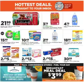 Mills Fleet Farm weekly ad week 10 Page 21