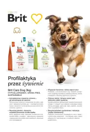 AquaelZOO gazetka Strona 12