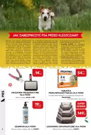 AquaelZOO gazetka Strona 4