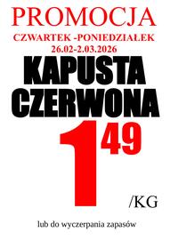 Wizan gazetka tydzień 9 Strona 4