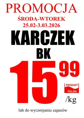 Wizan gazetka (ważność do 3-03)