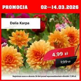 Szarotka gazetka Strona 1