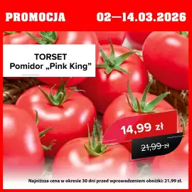 Szarotka gazetka Strona 2