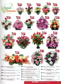 Catalogue Maximo page 11